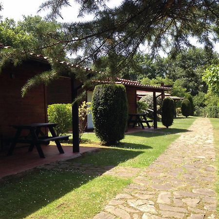 Camping Ecologic Lava Santa Pau Zewnętrze zdjęcie